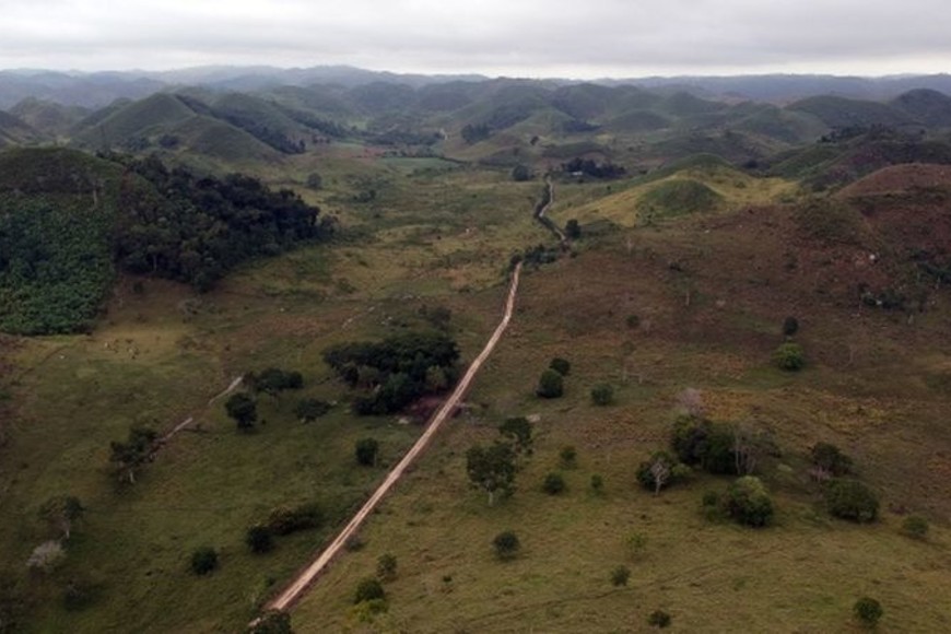 ELLITORAL_202695 |  Internet Una ciudad perdida maya fue descubierta. AFP