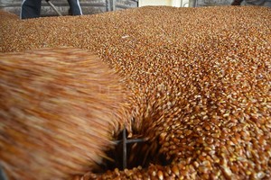 Archivo El Litoral / Mauricio Garín