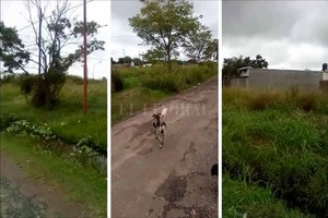 ELLITORAL_234988 |  El Litoral