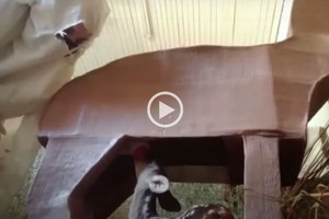 ELLITORAL_434140 |  Captura de video D.R