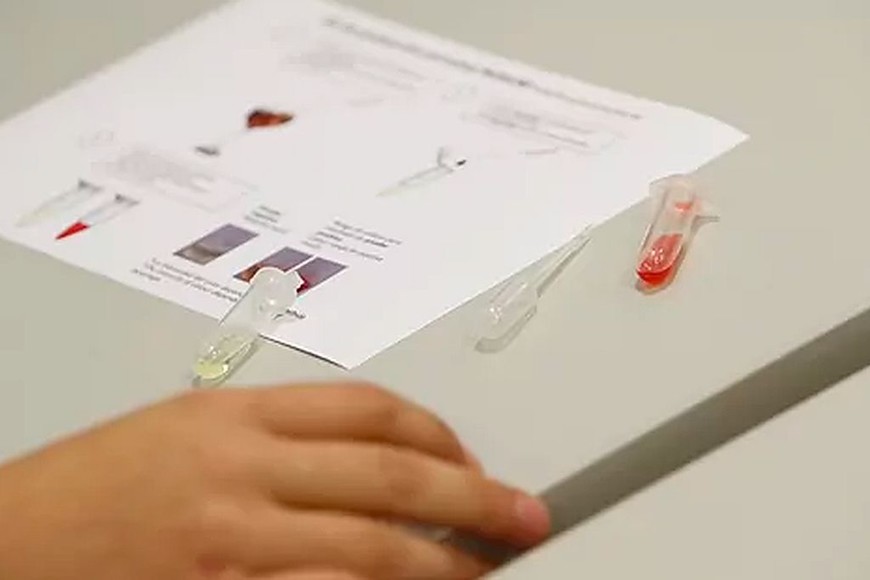 ELLITORAL_416467 |  Captura de pantalla