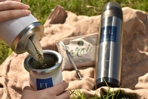 Mauricio Garín - Flavio Raina