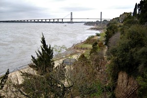 ELLITORAL_283139 |  Internet y Redes