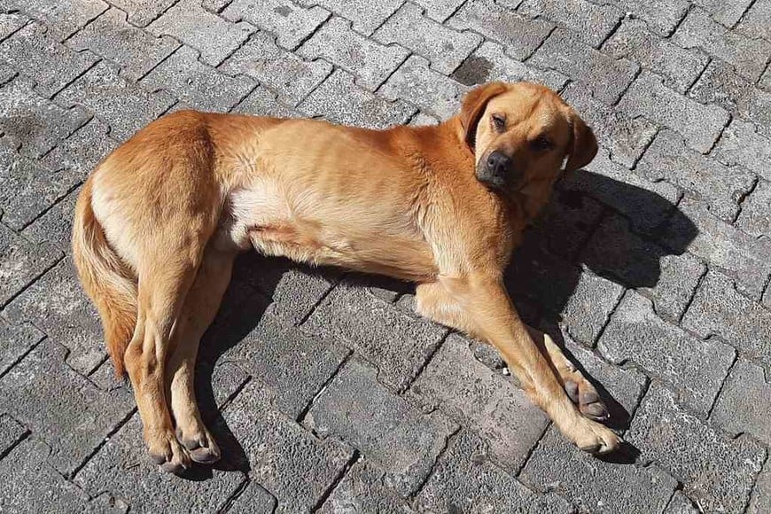 ELLITORAL_420470 |  Gentileza Facebook Layo Aguilar