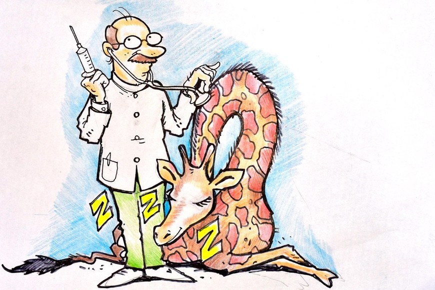 ELLITORAL_275494 |  Ilustación Luis Dlugoszewski