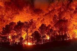 ELLITORAL_428650 |  Gentileza D.R