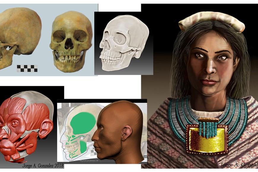 ELLITORAL_235970 |  @CONICETDialoga Ilustración y proceso de reconstrucción, Jorge A. Gonzalez.