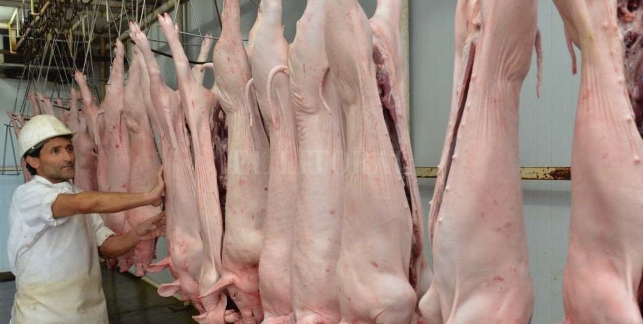 Un frigorífico de Vera podría exportar carne de cerdo a China