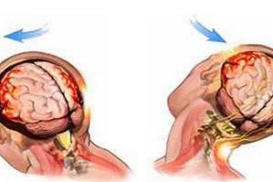 ELLITORAL_406014 |  Gentileza