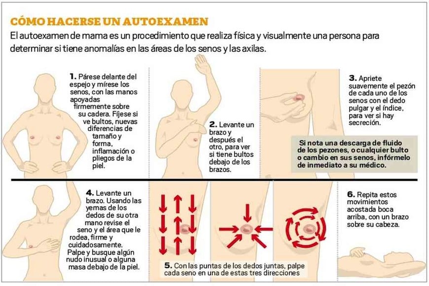 ELLITORAL_407885 |  El Litoral