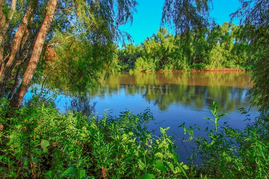 ELLITORAL_430384 |  Gentileza Parque Nacional Islas de Santa Fe