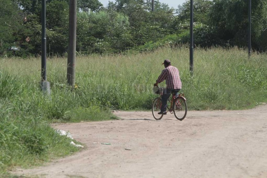 ELLITORAL_201604 | Mauricio Garin ntre las calles Gdor. Freyre, Ayacucho, Zavalla y Larrea, hay un terreno con pastizales que superan los dos metros de altura.