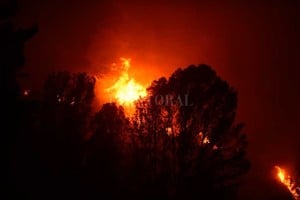 ELLITORAL_264374 |  Gentileza