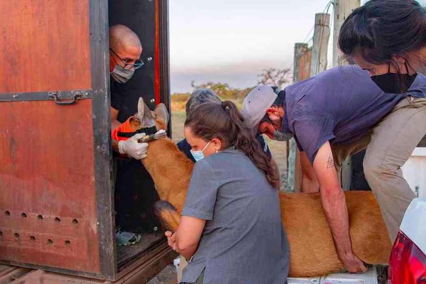 ELLITORAL_431388 | Télam D.R