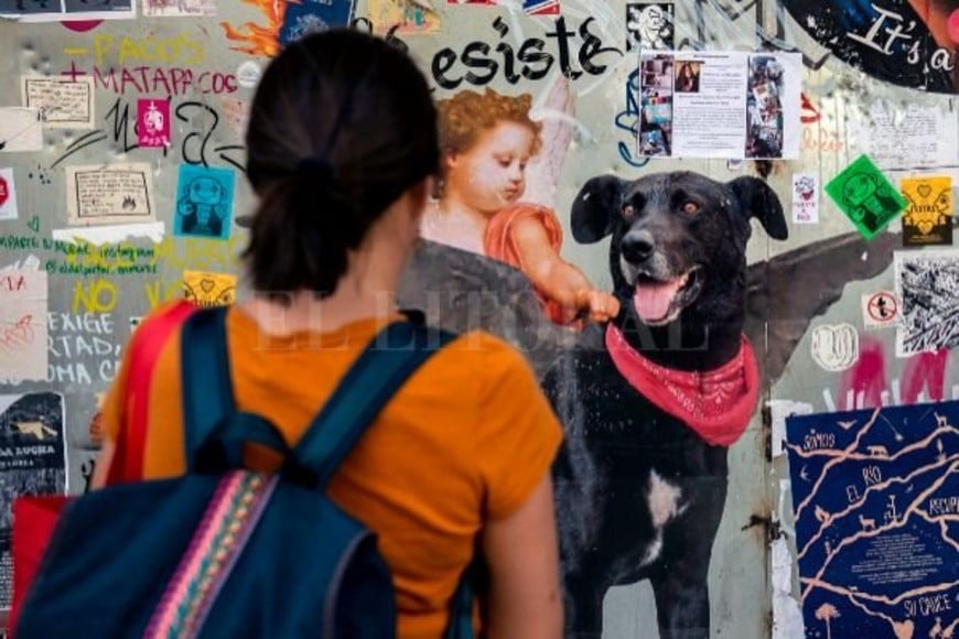 ELLITORAL_277392 |  Martín Bernetti