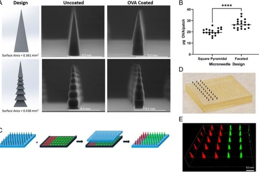 ELLITORAL_407312 |  Gentileza