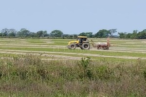 ELLITORAL_190731 |  BCSF