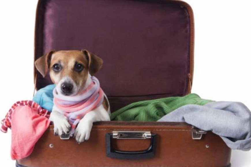 ELLITORAL_432570 | Gentileza D.R