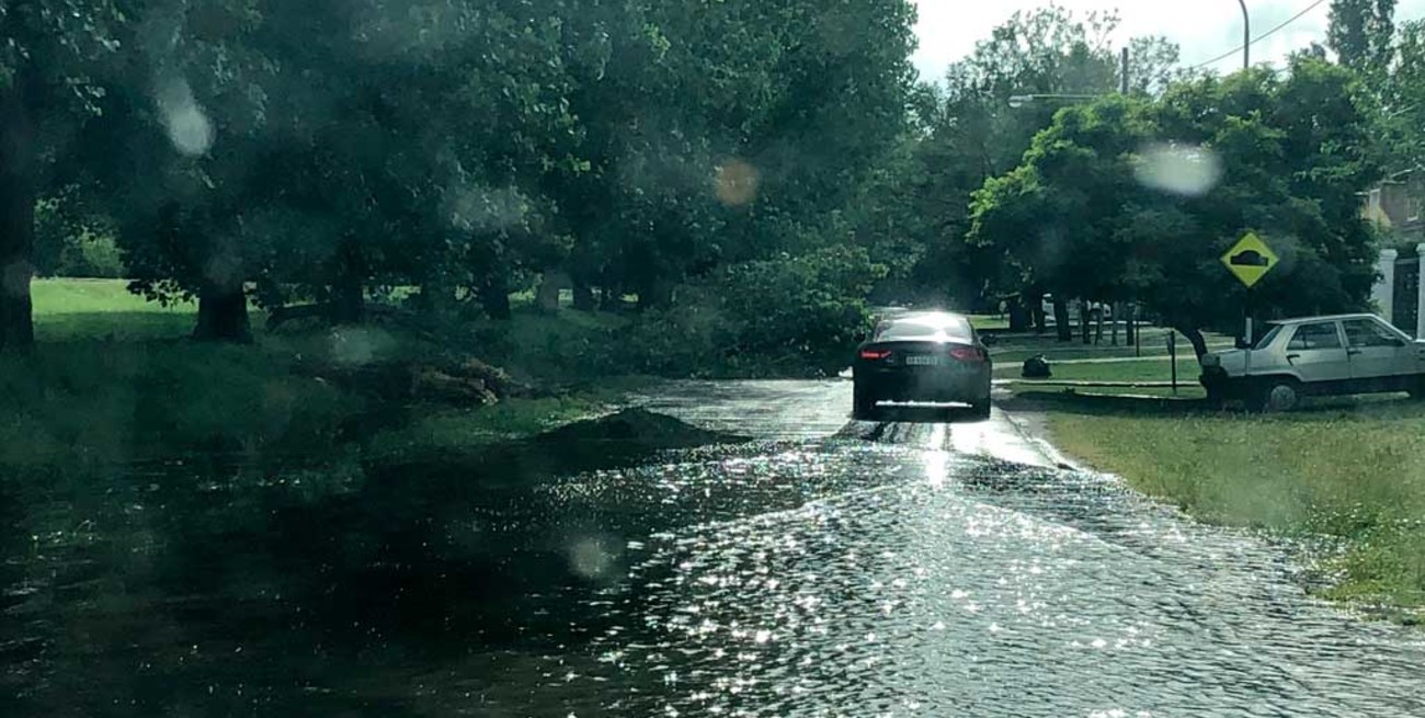 Calles inundadas y denuncias por árboles caídos, el saldo del temporal en Rosario
