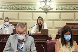 Gentileza La socialista Cattalini abrió el debate sobre la emergencia no sin formular cuestionamientos a la gestión de Sain.