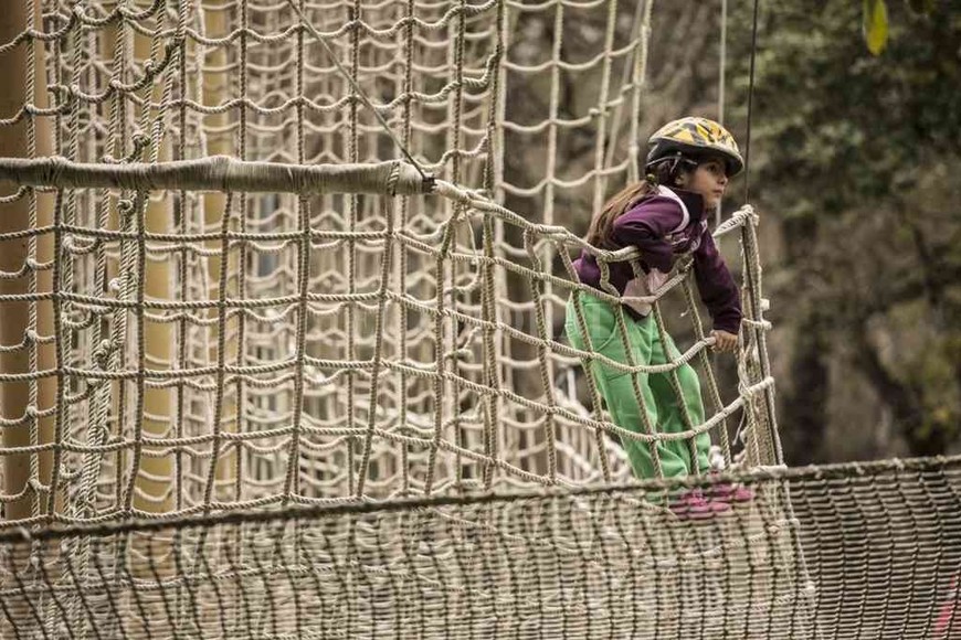 ELLITORAL_418429 |  Gentileza