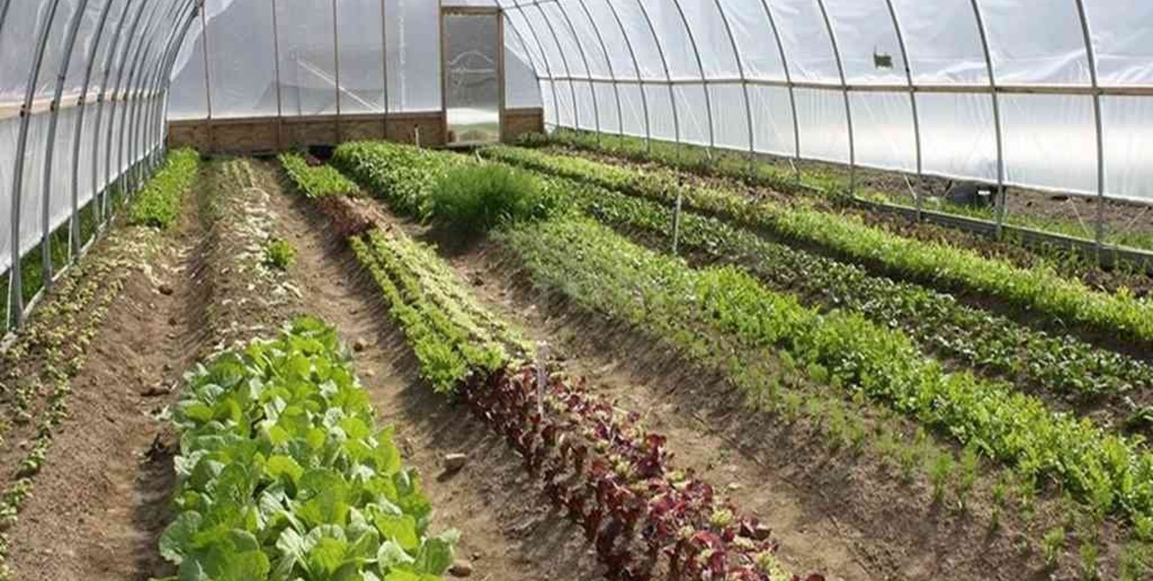 Empleo Verde: Rafaela busca potenciar la producción local de alimentos