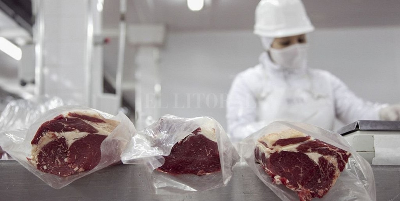 Bordet, Perotti y Ziliotto pidieron a la Nación que revea el cepo a la exportación de carne