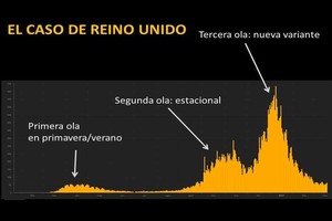 ELLITORAL_364236 |  Johns Hopkins University of Medicine