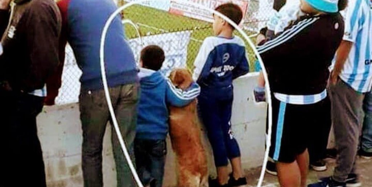 El niño y el perro, juntos viviendo la pasión del fútbol
