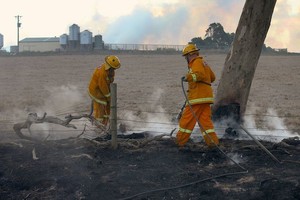 Internet Más 40.000 hectáreas arrasadas en el oeste de Australia a causa de un incendio forestal.