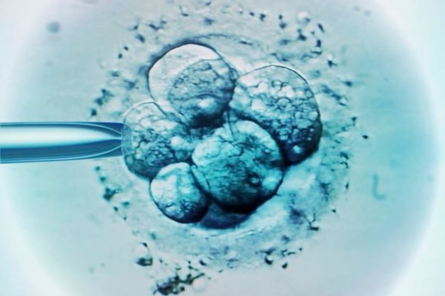 ELLITORAL_406113 |  Gentileza