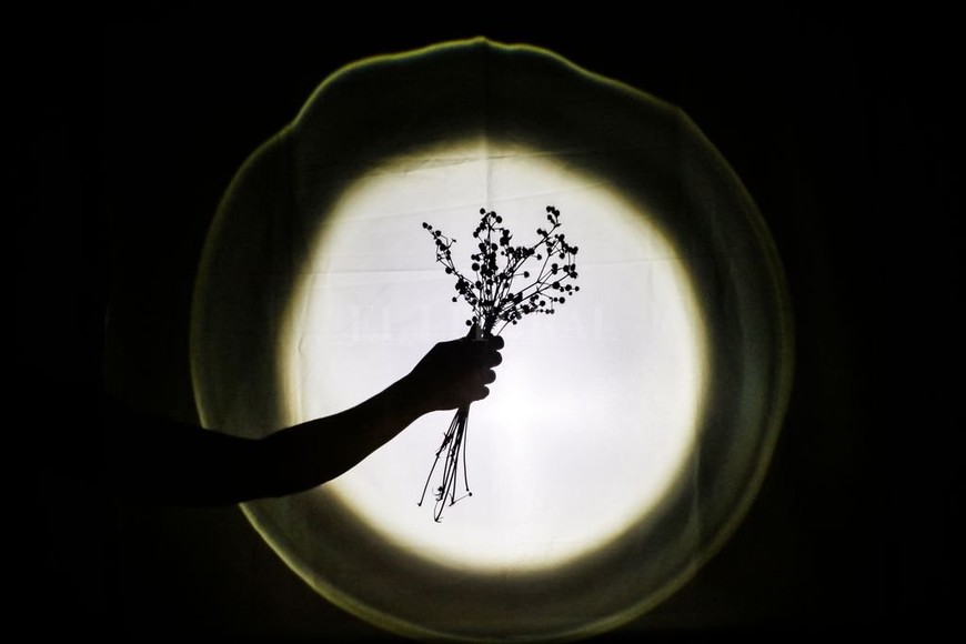 ELLITORAL_404597 |  Aldana Mestre (gentileza Colectiva Rodante) Apuesta.  Concebimos el teatro de sombras contemporáneo como una forma artística interdisciplinar y metafórica, un modo de rescatar historias que han quedado ocultas y ponerlas a la luz , definen desde Colectiva Rodante.