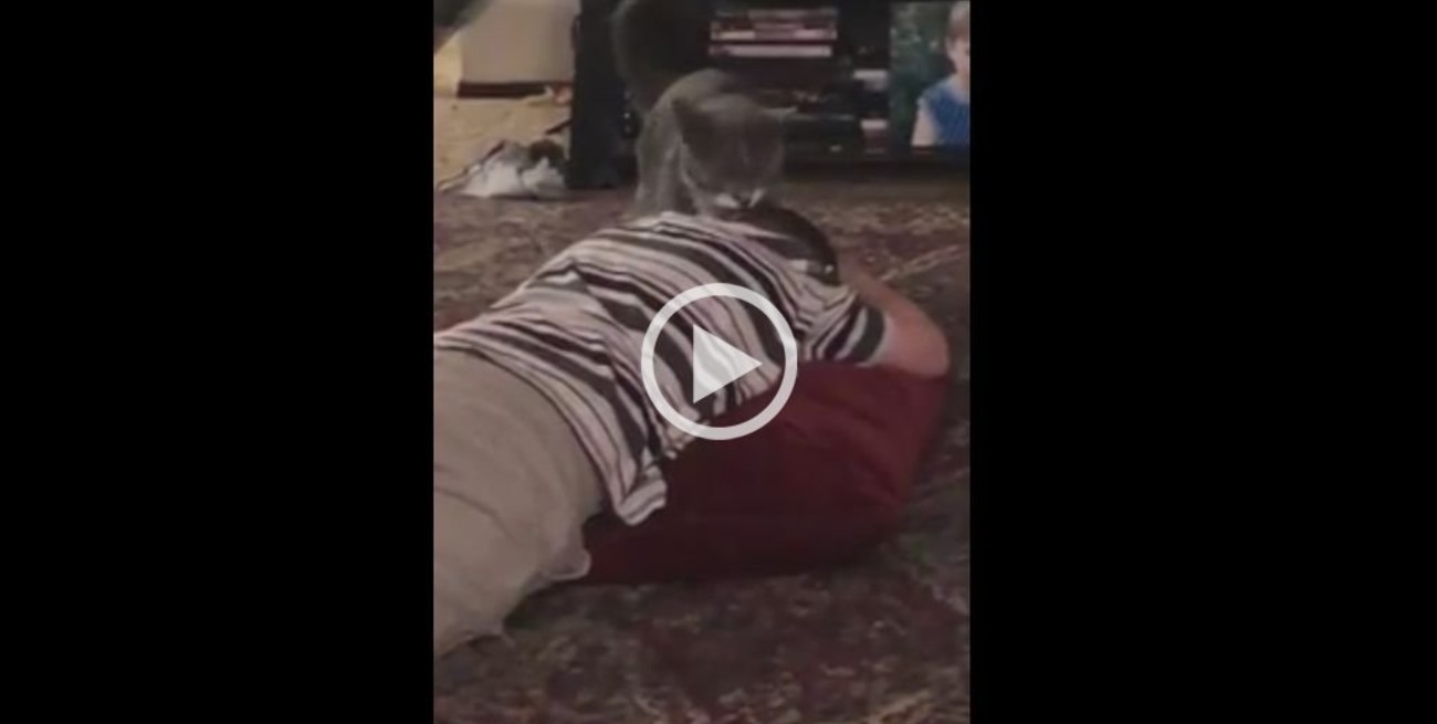 Video: Así tranquiliza un gato a un niño que sufre una crisis sensorial