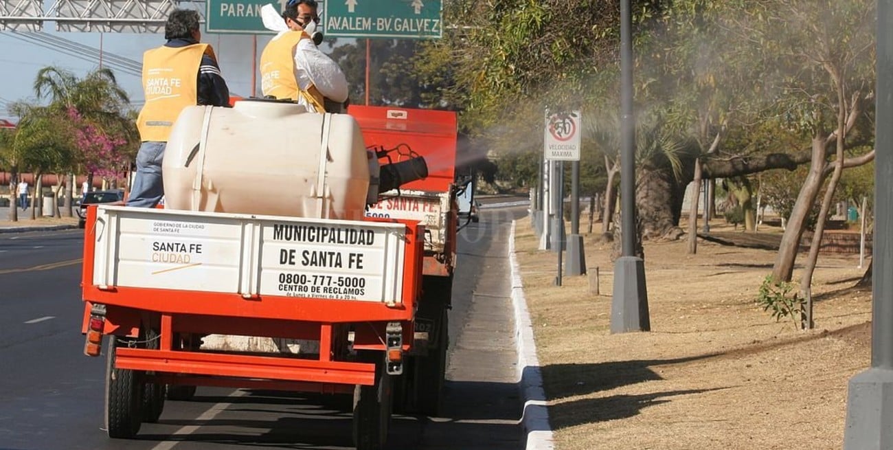 Retoman las tareas de fumigación en la ciudad