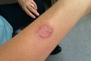 ELLITORAL_403234 |  Captura de pantalla