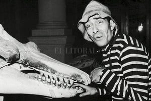 ELLITORAL_288760 |  Captura de pantalla