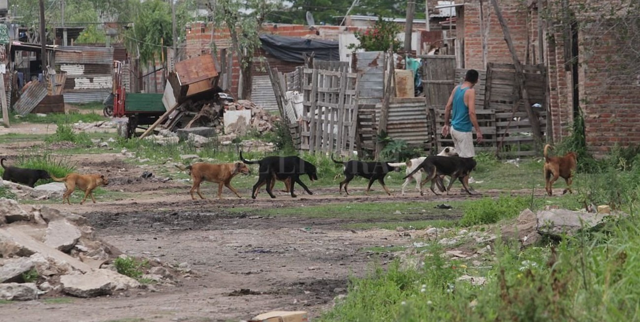 Advierten de un "importante" aumento de la pobreza en la Argentina