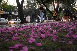 ELLITORAL_408070 |  Manuel Alberto Fabatía