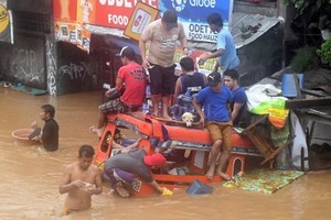 ELLITORAL_199066 |  Captura digital