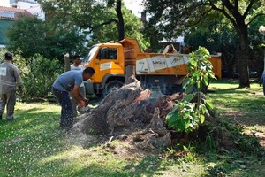 ELLITORAL_234257 |  Flavio Raina