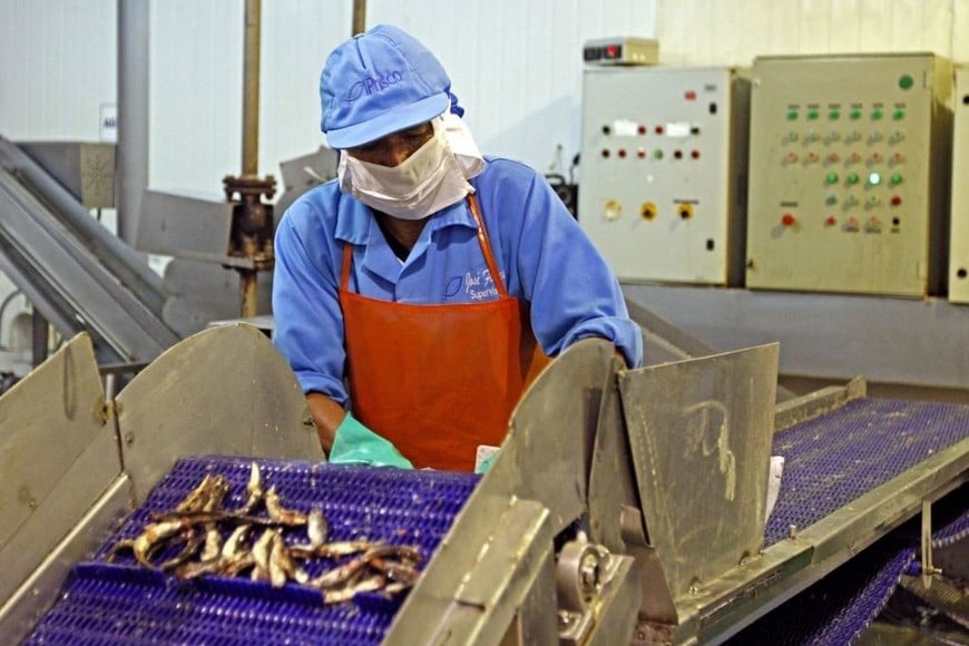 ELLITORAL_430557 |  Gentileza D.R