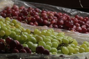 Mauricio Garín / Archivo Desde el Mercado de Concentración de Fisherton, su gerenta Marcela Sisino explicó:  El fallo es una muy linda expresion de deseos. Lo que lamento es que no hayan tenido en cuenta la expertise de los mercados mayoristas de la provincia para consultarnos , aseveró.