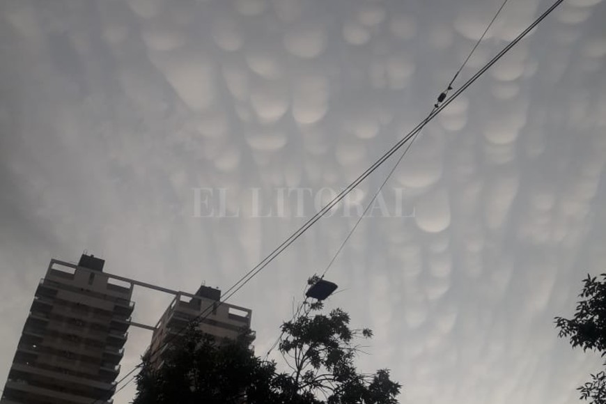 ELLITORAL_232398 |  Luis Cetraro