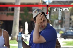 ELLITORAL_236647 |  Guillermo Di Salvatore.