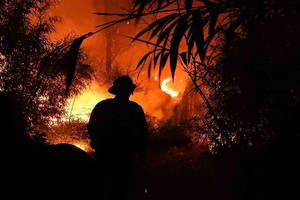 ELLITORAL_427418 |  Imagen Ilustrativa D.R