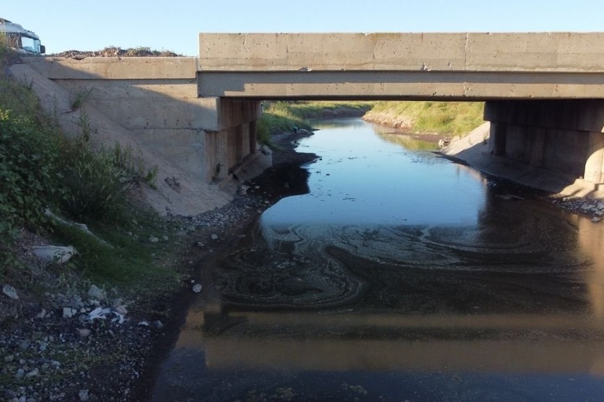 ELLITORAL_435052 |  Armando Senese D.R