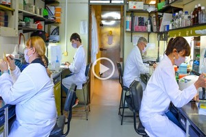 ELLITORAL_408930 |  Fundación Instituto Leloir Investigadores del CONICET y del Laboratorio de Terapia Molecular y Celular en el Instituto Leloir.