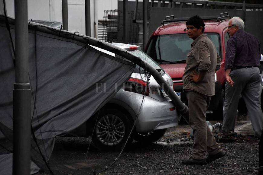 ELLITORAL_279629 |  Guillermo Di Salvatore.