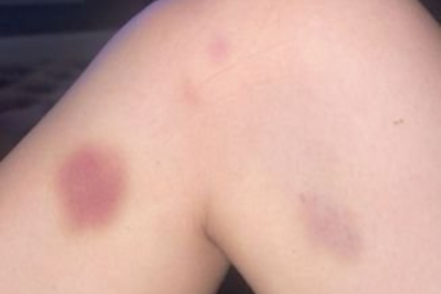 ELLITORAL_433986 | Gentileza D.R