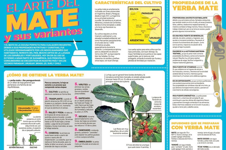 ELLITORAL_236476 |  El Litoral